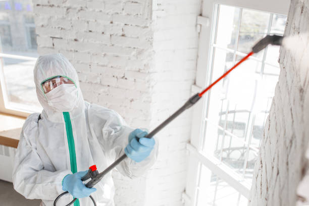  Franklinville, NJ Mold Removal Pros