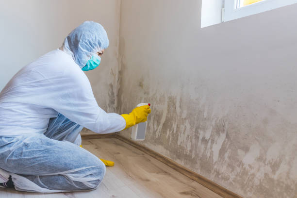 Best Commercial Mold Inspection  in Franklinville, NJ
