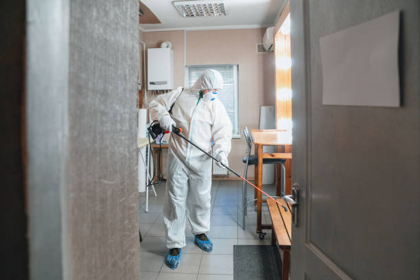 Best Indoor Air Quality Assessment  in Franklinville, NJ
