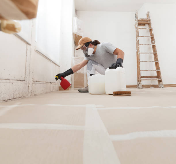 Best Residential Mold Inspection & Testing  in Franklinville, NJ