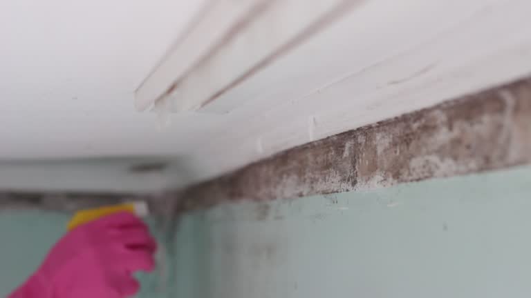 Best Air Quality Testing for Mold Spores  in Franklinville, NJ
